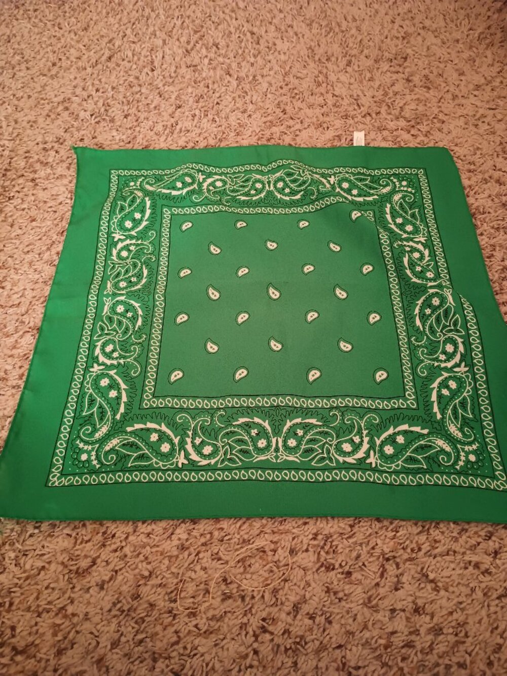 Green paisley bandana